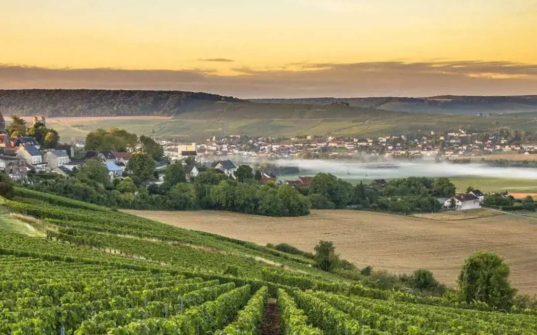 REIMS et LA CHAMPAGNE